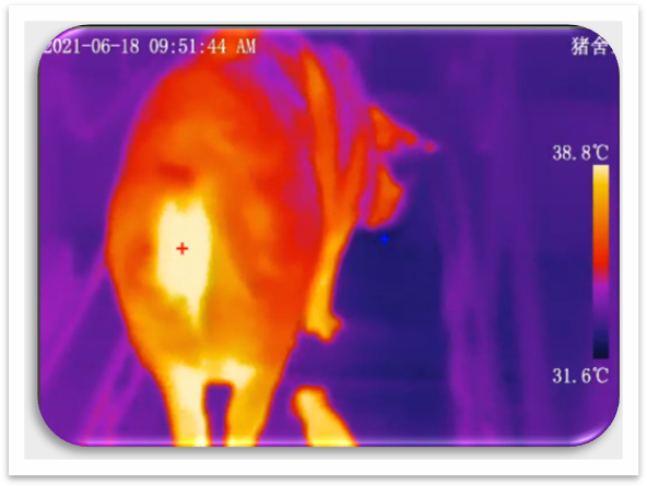 1751536198870729.png tupian2-846.png