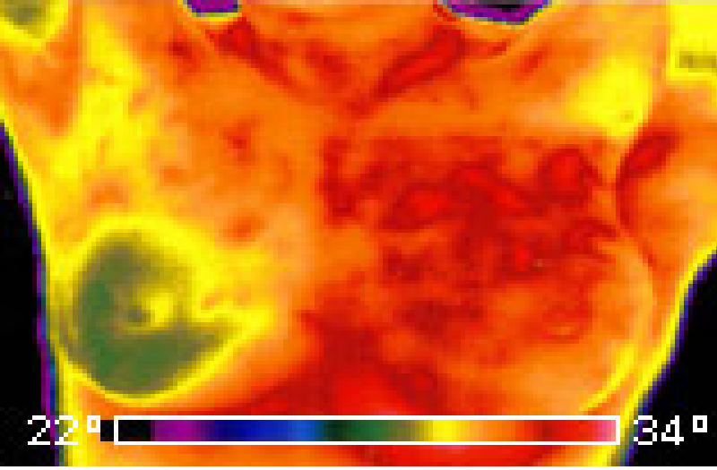 1751536216113264.png ruxian-2.png